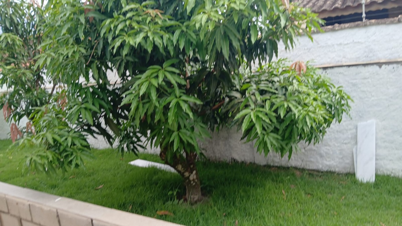 Casa, 3 quartos - Foto 14