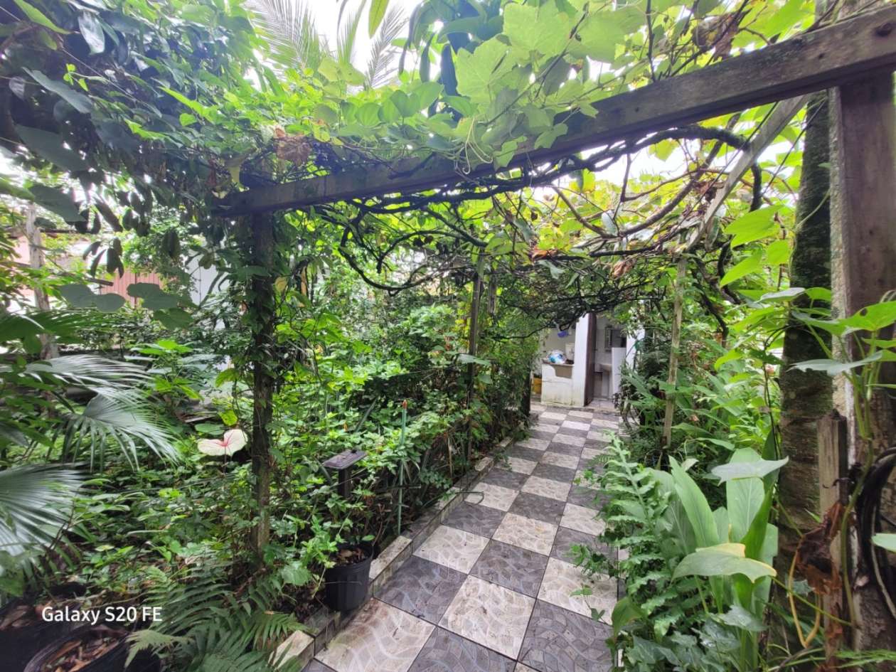 Casa, 3 quartos - Foto 17